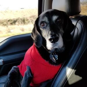 Meet your Posher, Jessica